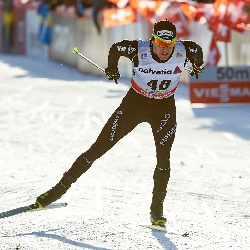DARIO-COLOGNA
