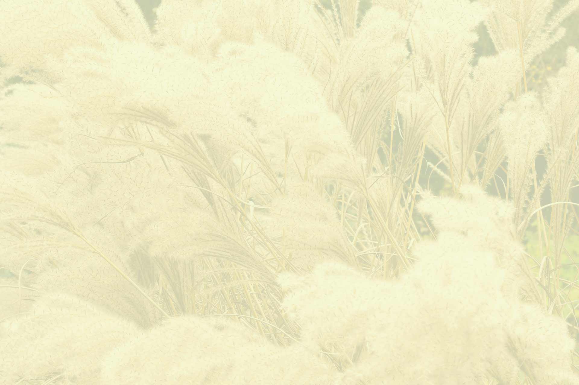parallax background