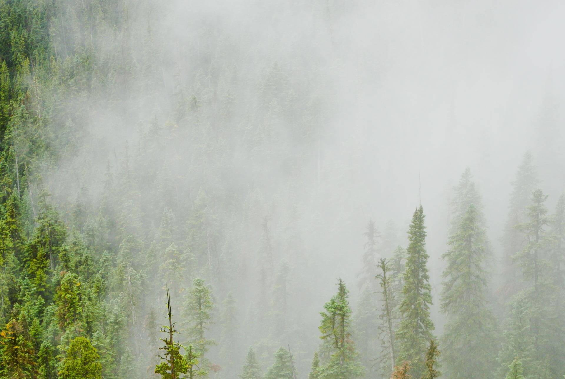 parallax background