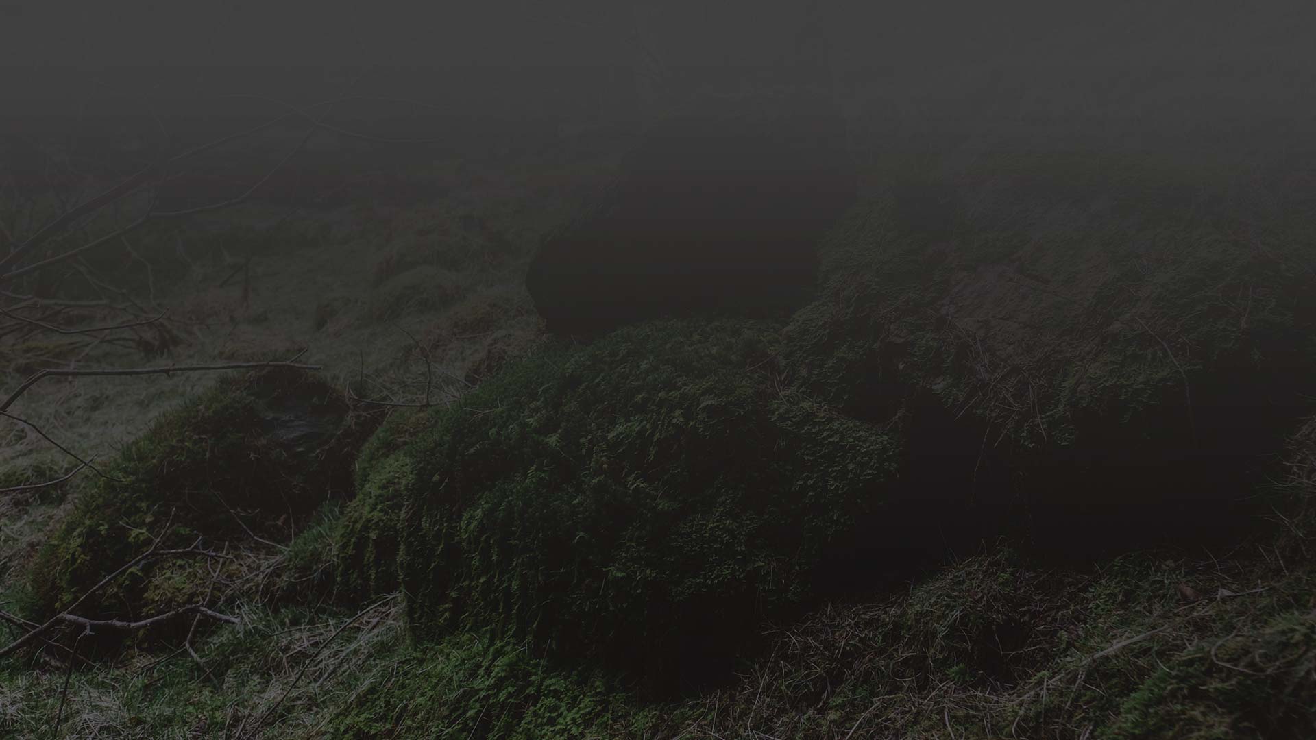 parallax background