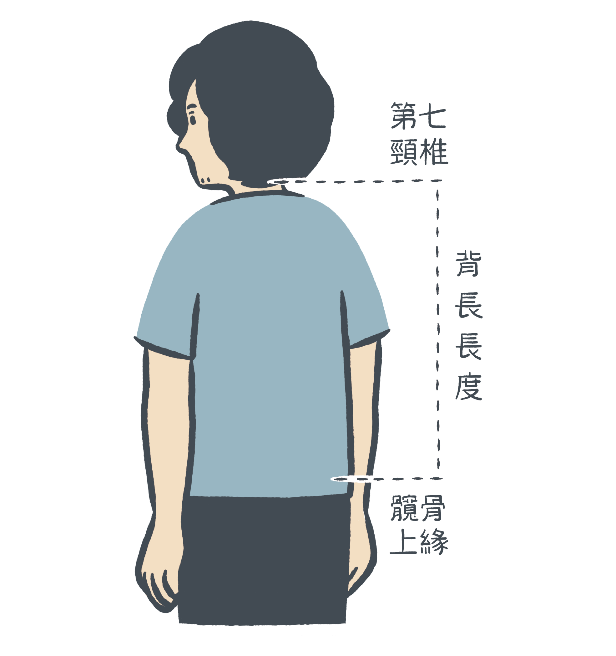 1_標示背長-2